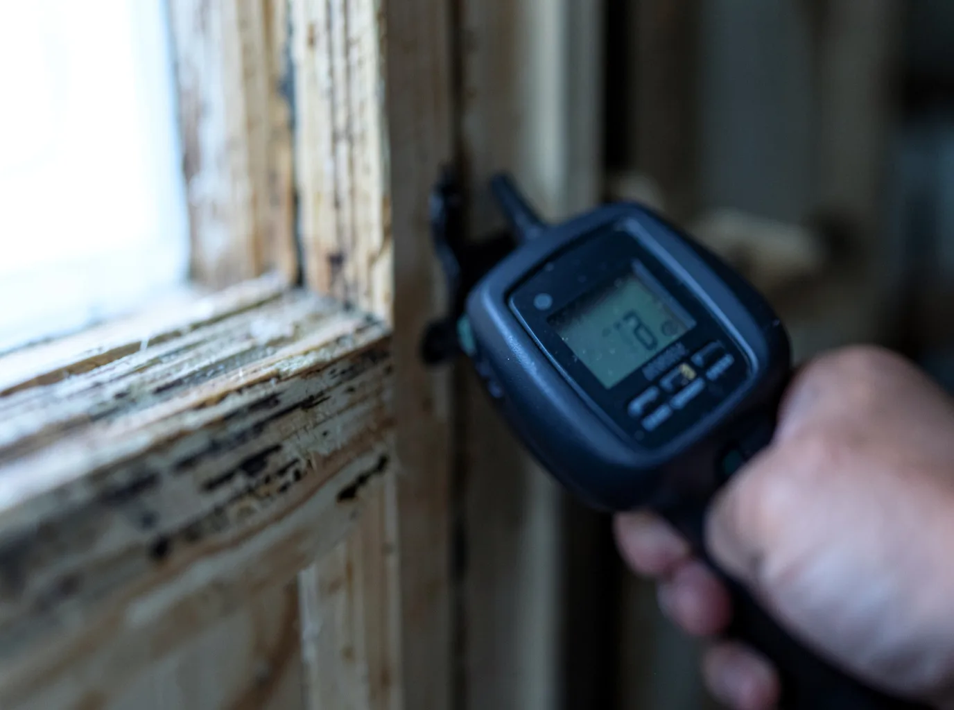 Moisture Inspection And Documentation in Chestnutridge, MO